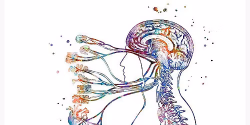 Szkolenie: Autonomiczny uk\u0142ad nerwowy 