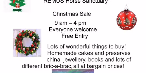 Remus Christmas Fundrsiding Fayre