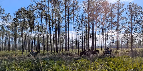 Florida Mule Lovers Romp In The Swamp 2026