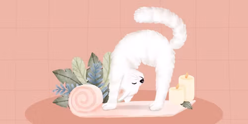 Cats and Mats!