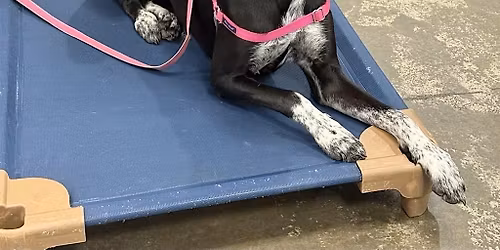 Duo Touch Prep - Tuesdays 7:30 pm - January 6 to February 10