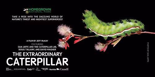 Community Screening: The Extraordinary Caterpillar