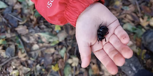 Nature Tots Buggy Walk