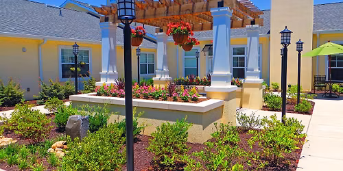 Hearts of Honor: Serving Our Seniors