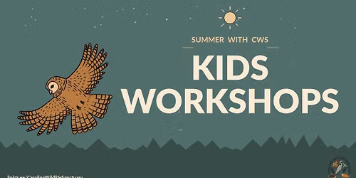 Kids Wildlife Workshops \u00b7 Summer with CWS
