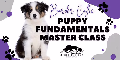 Puppy Fundamentals Master Class