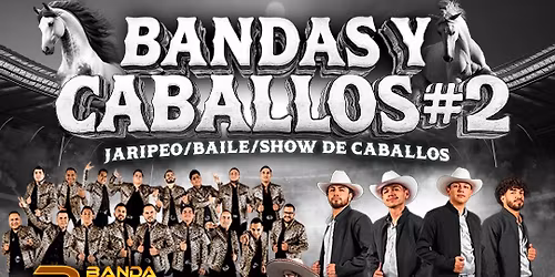 Caballos y banda #2