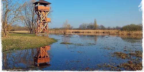 Mocs\u00e1ri kalandt\u00fara, n\u00e9pmes\u00e9kkel 2026.06.06.