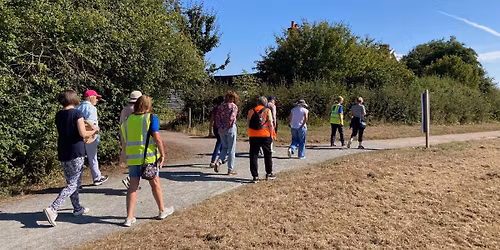 Wellbeing & Tree Walks