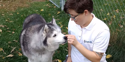 Therapy Animal Visit 