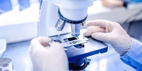 Biblia la Microscopul Electronic