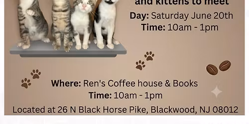 Cats and Coffee \u2615\ufe0f