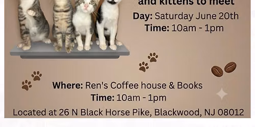 Cats and Coffee \u2615\ufe0f