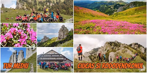 Tur mediu - Ciuca\u0219, Pasul Bratocea \u0219i rododendronul