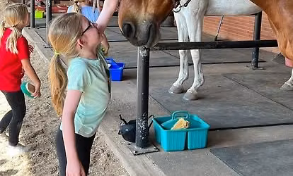 Camp Cadence - Summer Horse Camp Session II