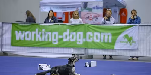 10. Fast'n Furious RO-Turnierwochenende - nur RO 2, RO 3 und FCI