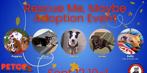 \ud83d\udc3e Rescue Me, Maybe: Find Your Perfect Match \ud83d\udc99