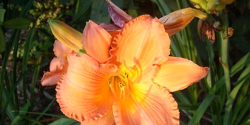 Mindfulness and Meditation 