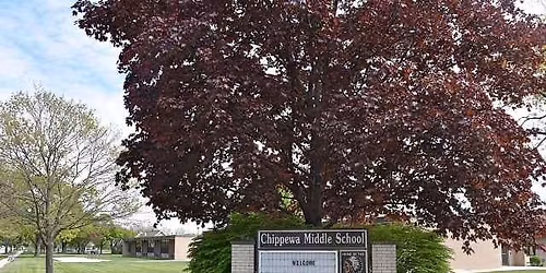 Buffalo Wild Wings Dine & Share