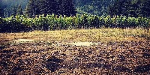 Masterclass med Jasmine Hirsch