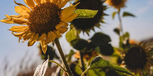 Learn Your Camera: A Private Photography Lesson in Edmonton