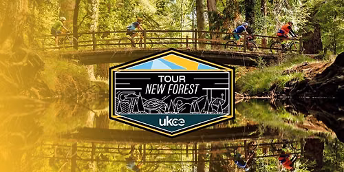 The New Forest Tour
