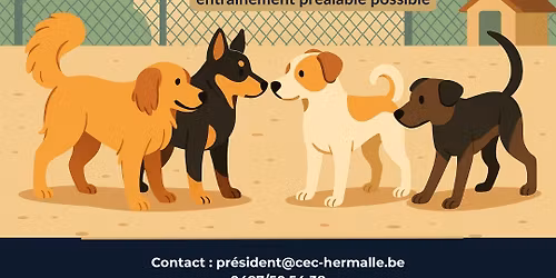 Test de comportement social