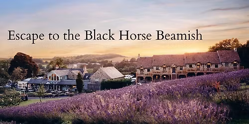 Kids' Movie Night: Christmas Special