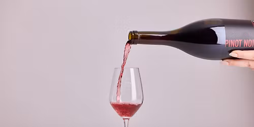 Wildshark Wine & Food pairing evening at The Great House