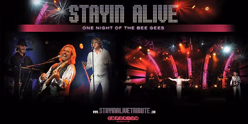Stayin' Alive: One Night of the Bee Gees