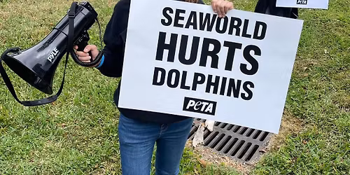 Orlando: Protest Animals Held Captive at SeaWorld!