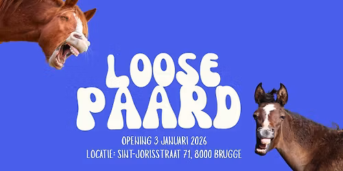 OPENINGS WEEKEND - LOOSE PAARD