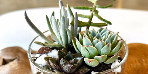 Succulent Terrarium Workshop