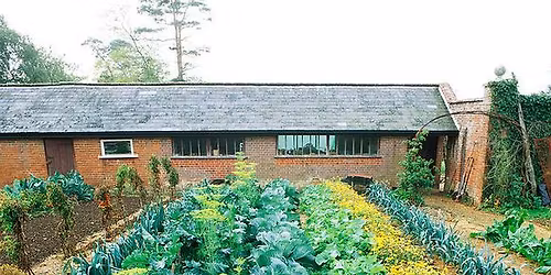 Schall Attila: A magyar \u0151sis\u00e9g gy\u00f3gy\u00edt\u00f3 hangjai \u00e9s vir\u00e1gai