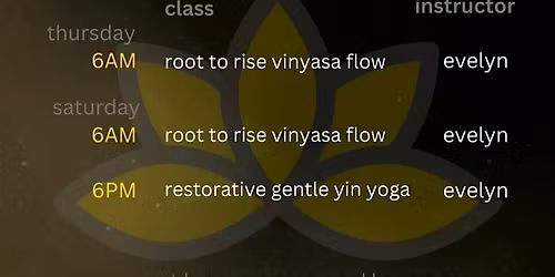 Root To Rise