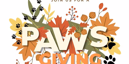 Thanksgiving Pet Dress Up Contest