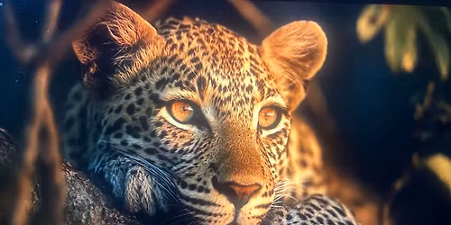 \u1786\u17c1\u17c7\u1793\u17c5\u1794\u17b6\u178f\u17cb\u178a\u17c6\u1794\u1784