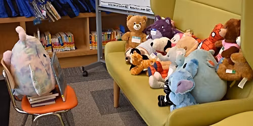 Stuffed Animal Sleepover