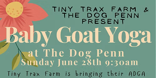 Baby Goat Yoga