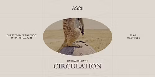 OPENING: Gabija Gru\u0161ait\u0117\u2019s solo exhibition CIRCULATION