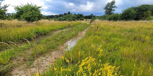 Bioblitz p\u00e5 H\u00f8velte \u00f8velsesterr\u00e6n og i Tokkek\u00f8b Hegn