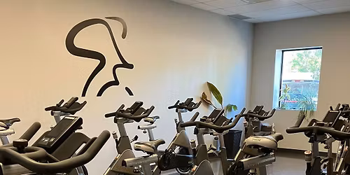 Creative Climbs for Spinning\u00ae Instructors