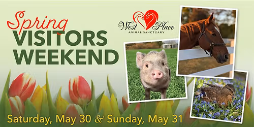 Spring Visitors Weekend