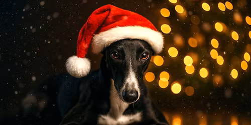 Hundepower Adventssonntag