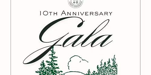 10th Anniversary Gala