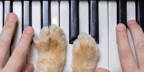 Dueling Pianos Benefit Concert for the Franklin County Humane Society