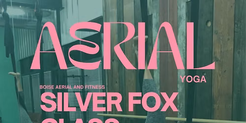 Silver Fox: Aerial Yoga Pop-up
