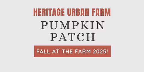 Pumpkin Patch Fall at the Farm