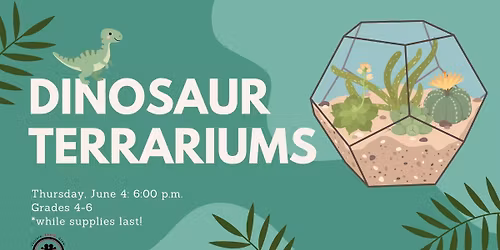 Dinosaur Terrariums