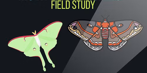 Moth Field Study Program